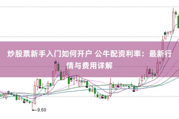 炒股票新手入门如何开户 公牛配资利率：最新行情与费用详解