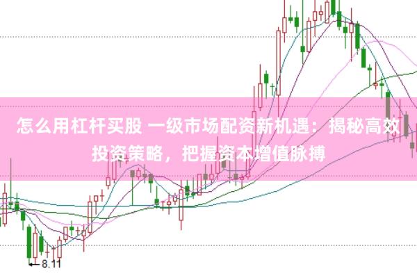 怎么用杠杆买股 一级市场配资新机遇：揭秘高效投资策略，把握资本增值脉搏