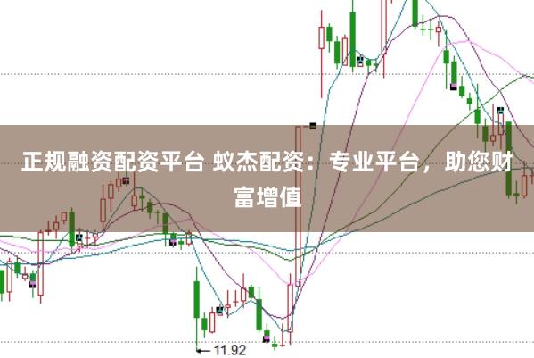正规融资配资平台 蚁杰配资：专业平台，助您财富增值
