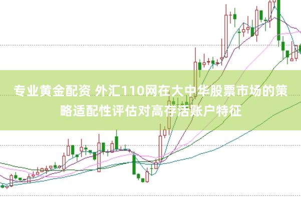 专业黄金配资 外汇110网在大中华股票市场的策略适配性评估对高存活账户特征