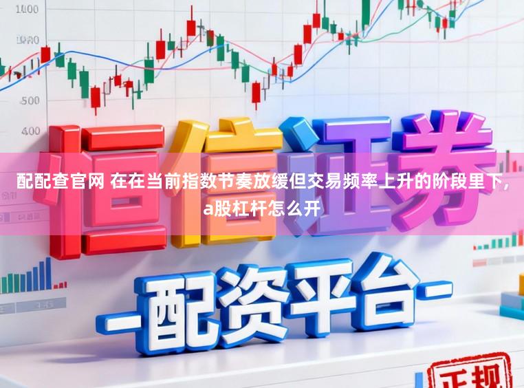 配配查官网 在在当前指数节奏放缓但交易频率上升的阶段里下,a股杠杆怎么开