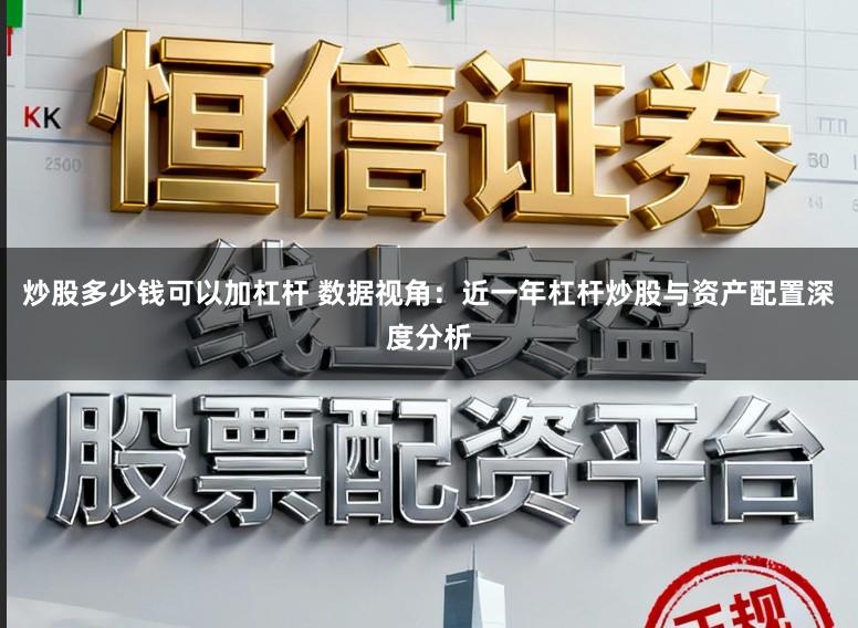 炒股多少钱可以加杠杆 数据视角：近一年杠杆炒股与资产配置深度分析